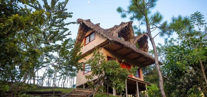 Brown Wooden House Surround With Trees